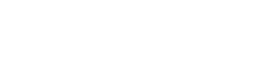 developer